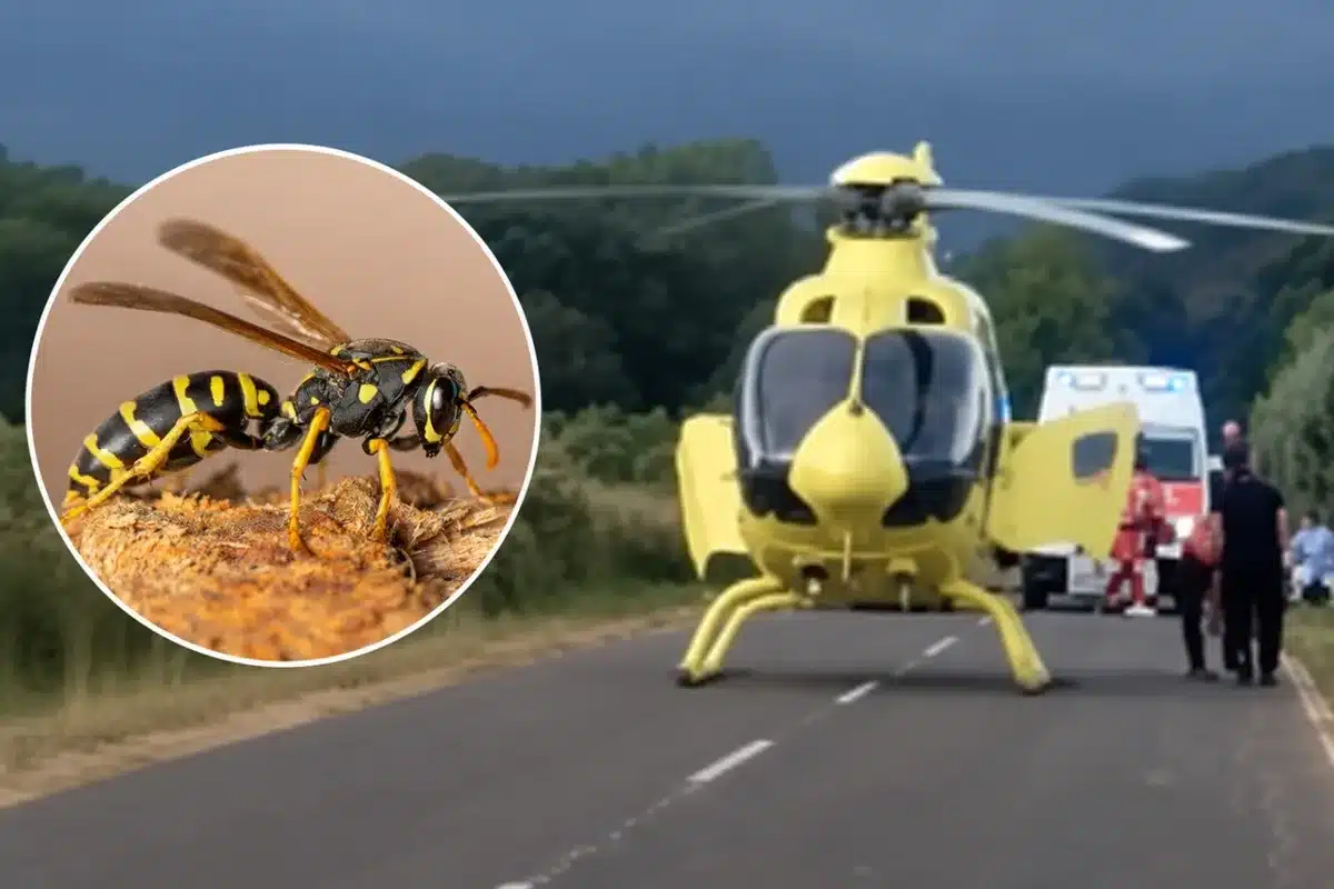 fallece ciclista picadura avispa