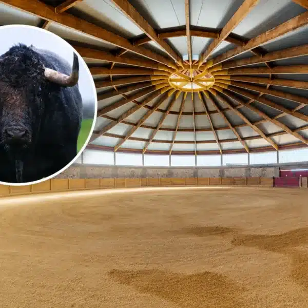 finca venta toros Guadalajara