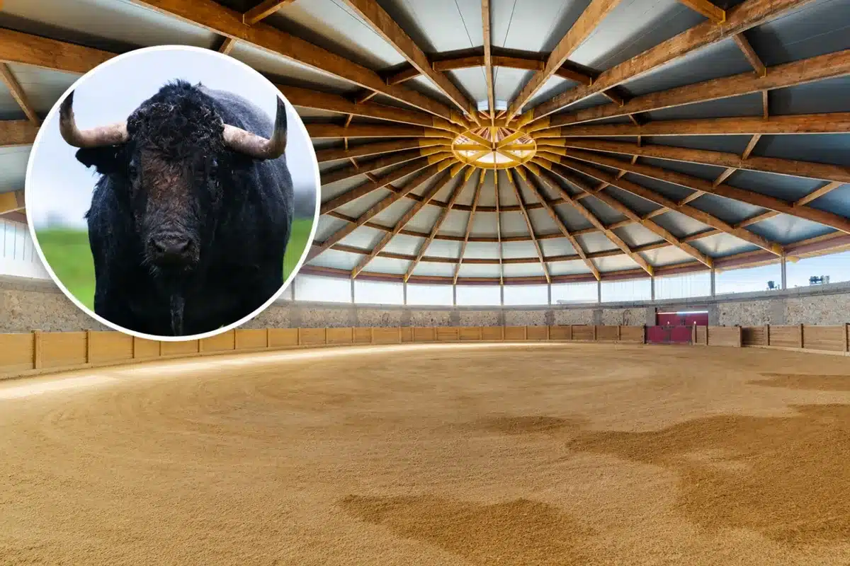 finca venta toros Guadalajara