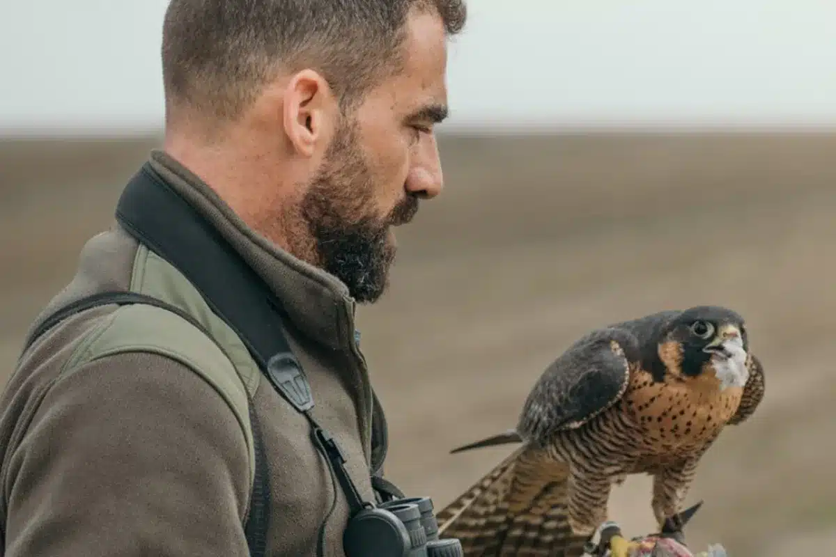 Guardianes del Campo episodio 3