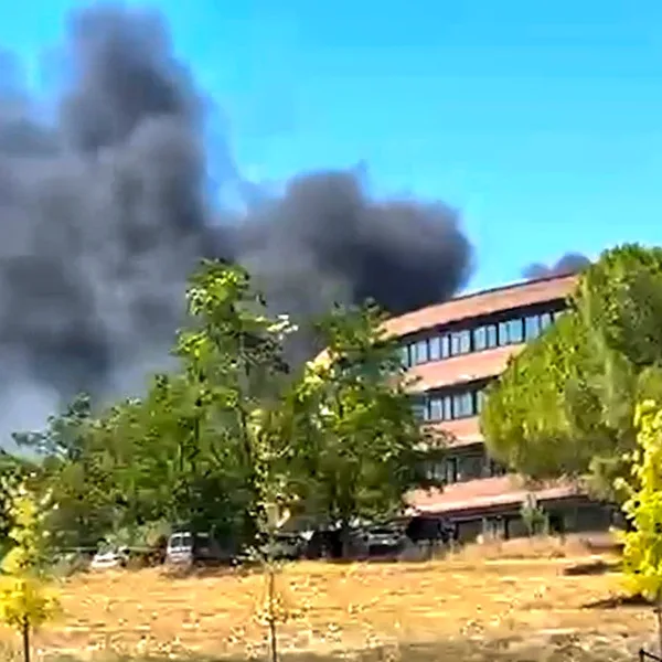 Incendio laboratorio bajo sospecha peste porcina