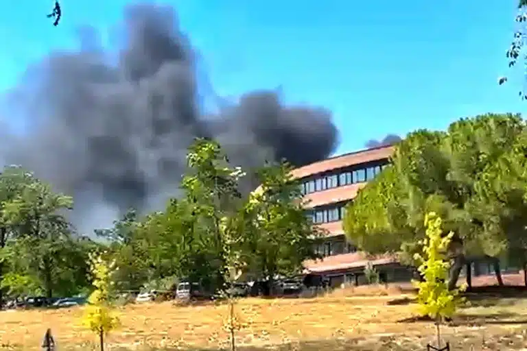 Incendio laboratorio bajo sospecha peste porcina
