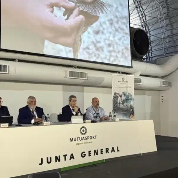 Junta Mutuasport