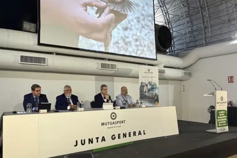 Junta Mutuasport