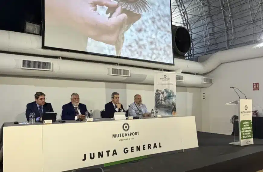 Junta Mutuasport