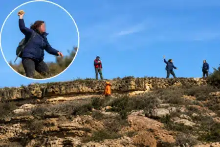 animalista piedras cazadores