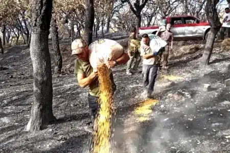 cazadores ayudan animales tras los incendios