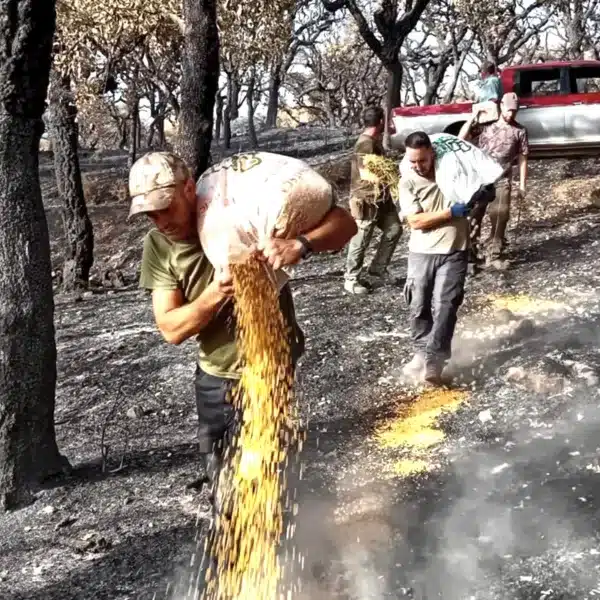 cazadores ayudan animales tras los incendios