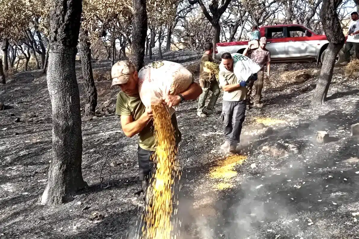 cazadores ayudan animales tras los incendios