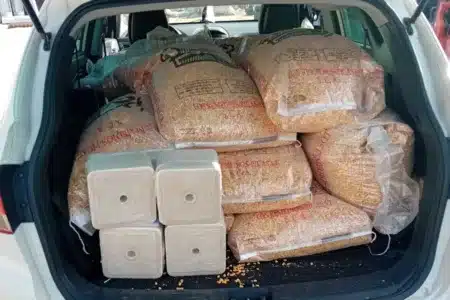cazadores maíz piedras de sal comida incendio Grazalema