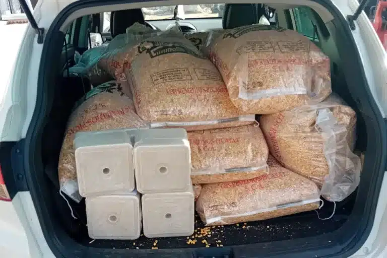 cazadores maíz piedras de sal comida incendio Grazalema