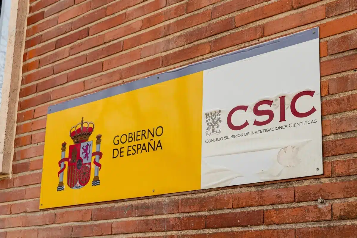 CSIC