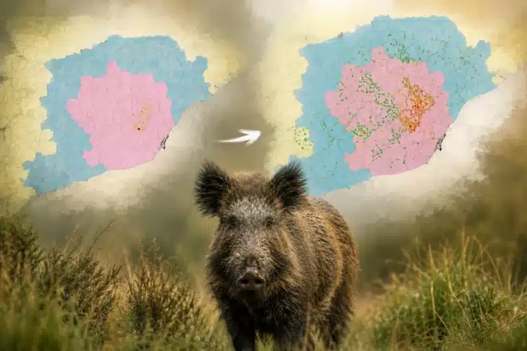 Evolución ppa Cataluña