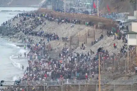 inmigrantes Ceuta rabia perros gatos