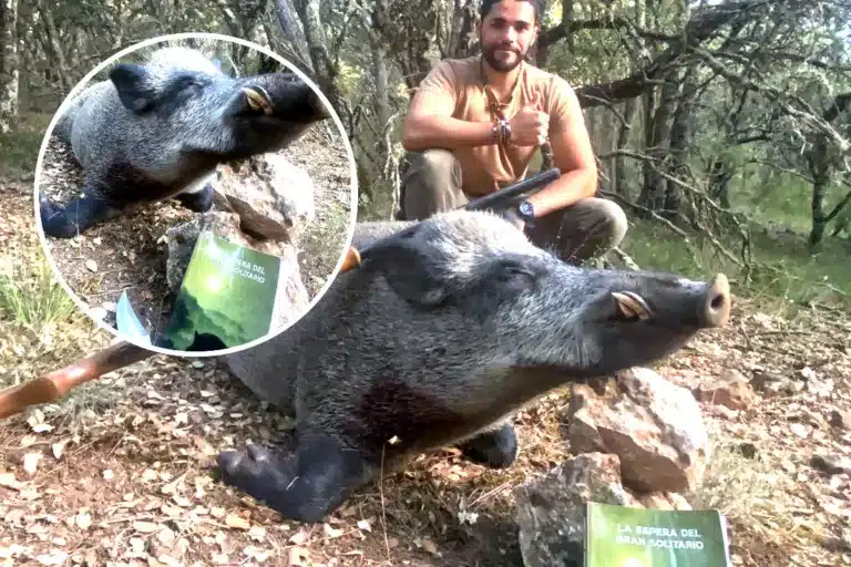 Jabalí La espera del gran solitario