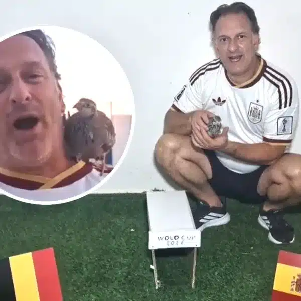 Perdiz Tako predice España Bélgica