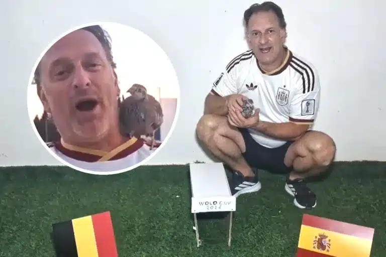 Perdiz Tako predice España Bélgica