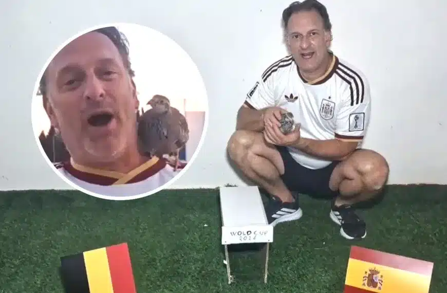 Perdiz Tako predice España Bélgica