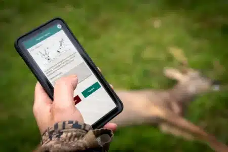Cazador precintando digitalmente un corzo en Castilla y León.