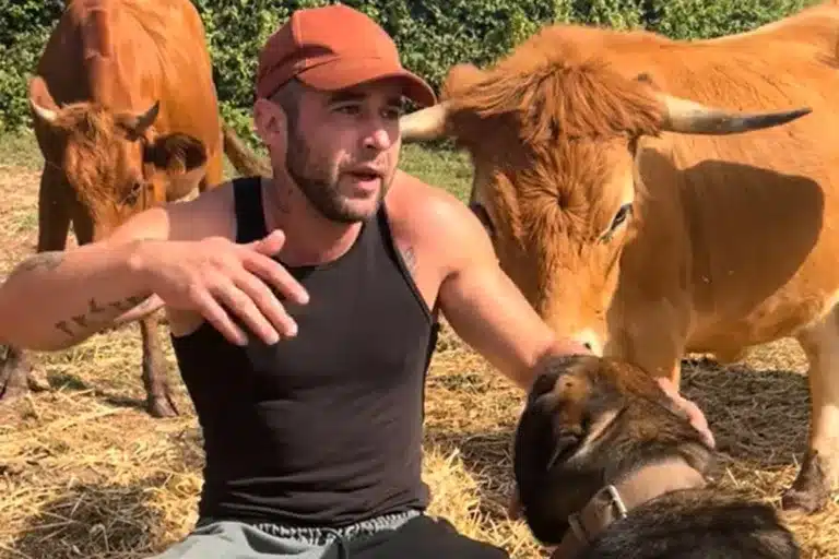 respuesta ganadero urbanitas humanizan animales