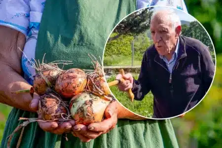 El abuelo Pablo y un manojo de cebollas.