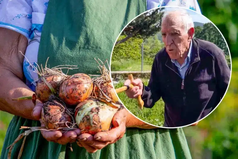 El abuelo Pablo y un manojo de cebollas.