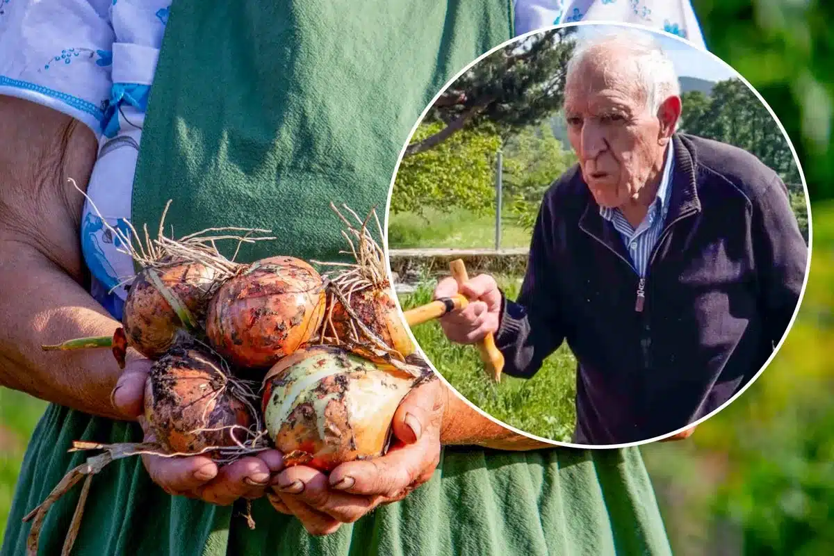 El abuelo Pablo y un manojo de cebollas.