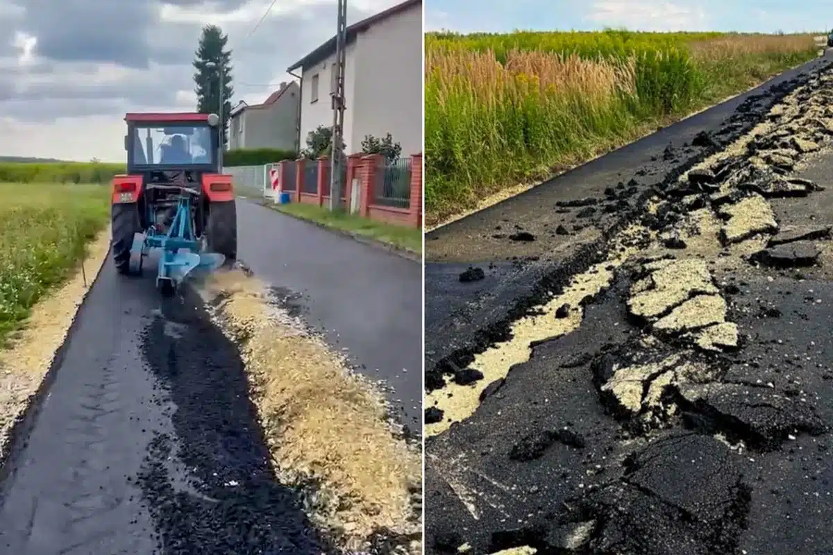 El agricultor, arando la carretera.
