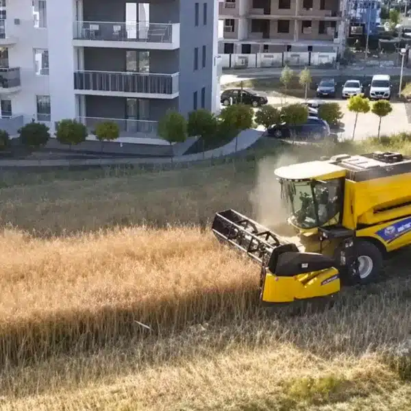 El agricultor cosechando rodeado de pisos.
