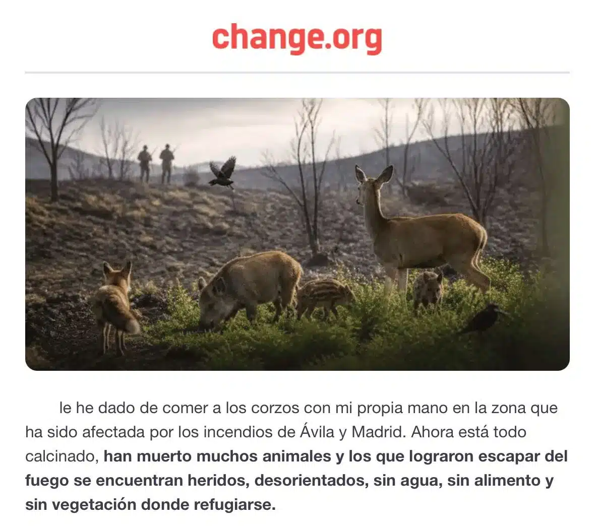 Los animalistas recurren a imágenes hechas con IA para pedir el fin de la caza en terrenos quemados.