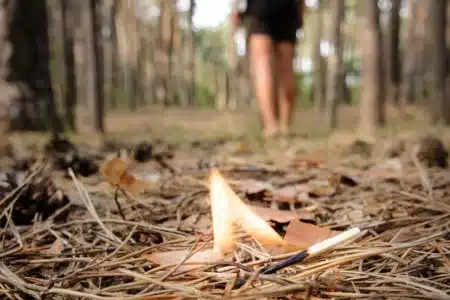 autor incendios evita cárcel con curso