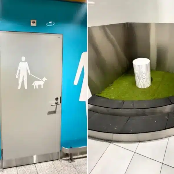 Imagen del baño para perros de Finlandia.