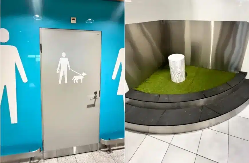 Imagen del baño para perros de Finlandia.
