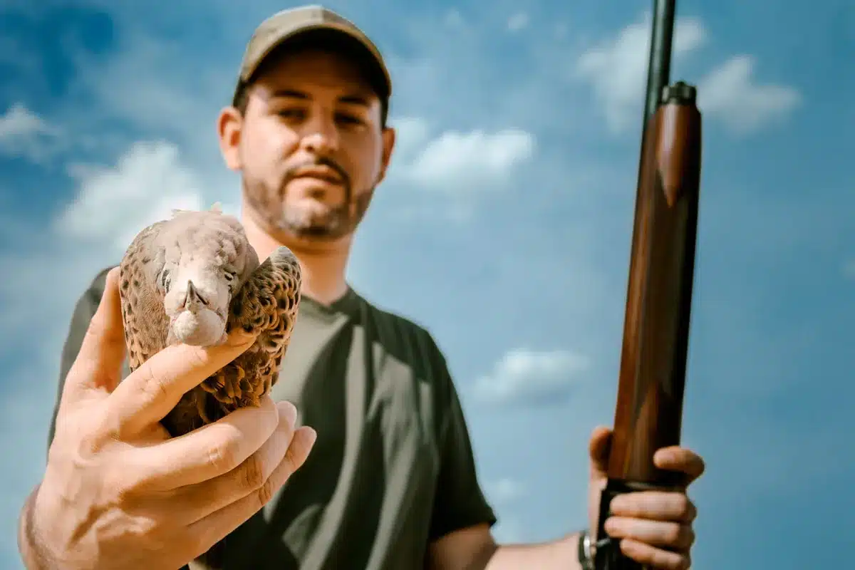 Un cazador recoge una tórtola.