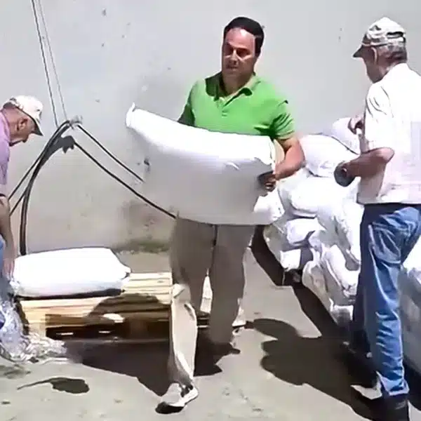cazadores alimento fauna