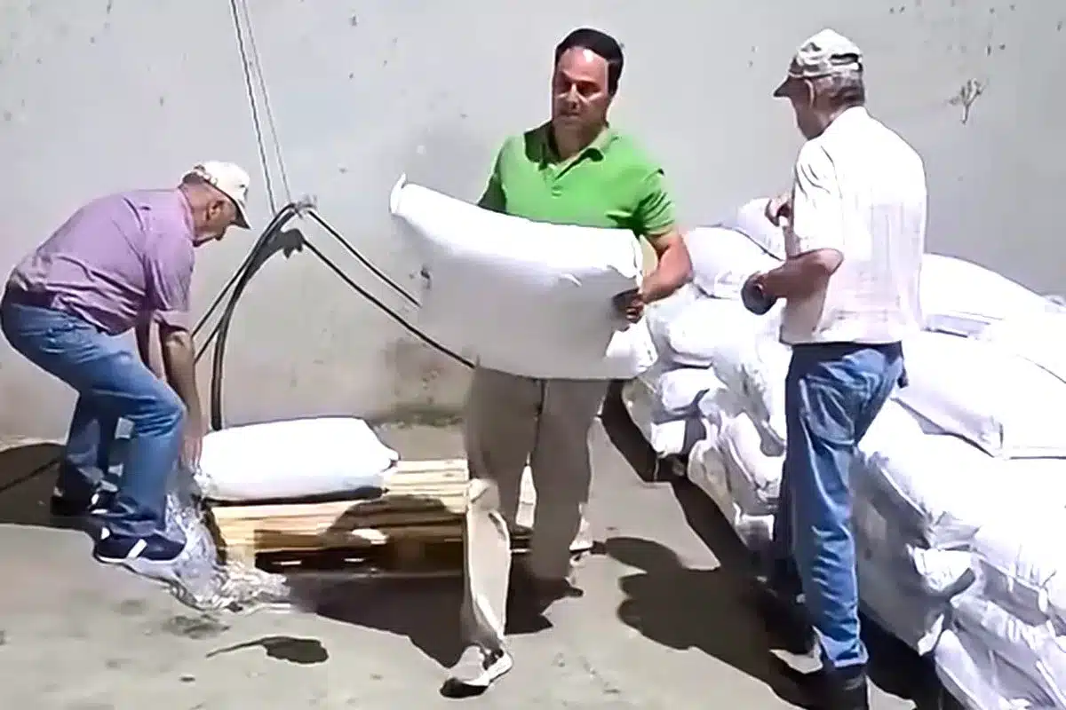 cazadores alimento fauna