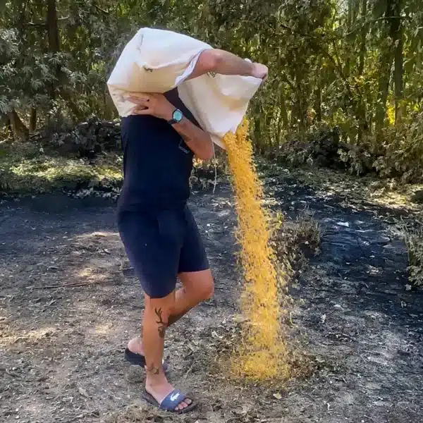 Un cazador lleva alimento a los animales en Ávila.