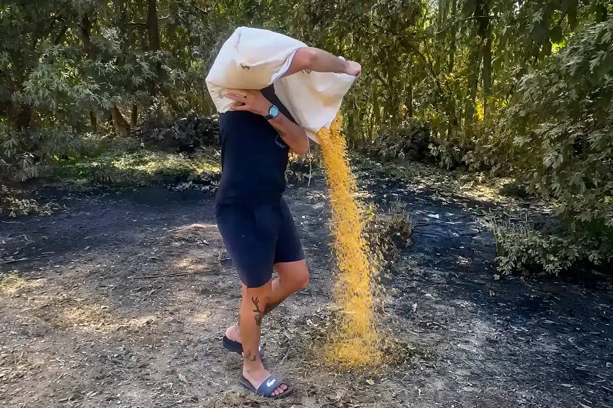Un cazador lleva alimento a los animales en Ávila.