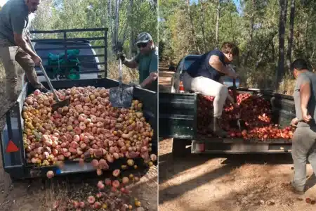 cazadores comida incendios