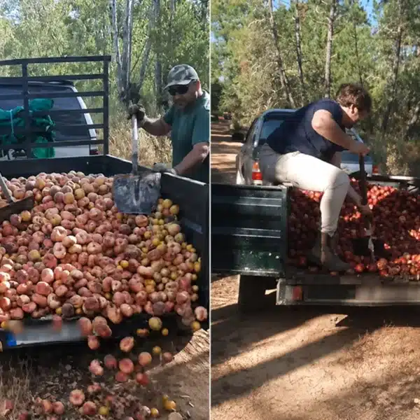 cazadores comida incendios