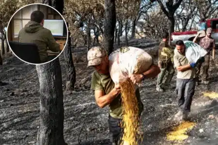 Cazadores echan comida incendios mientras ecologistas piden prohibición