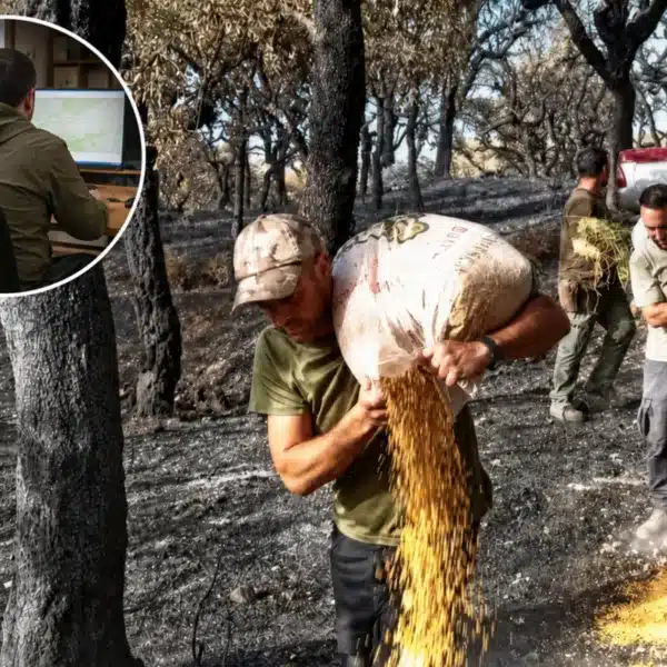 Cazadores echan comida incendios mientras ecologistas piden prohibición