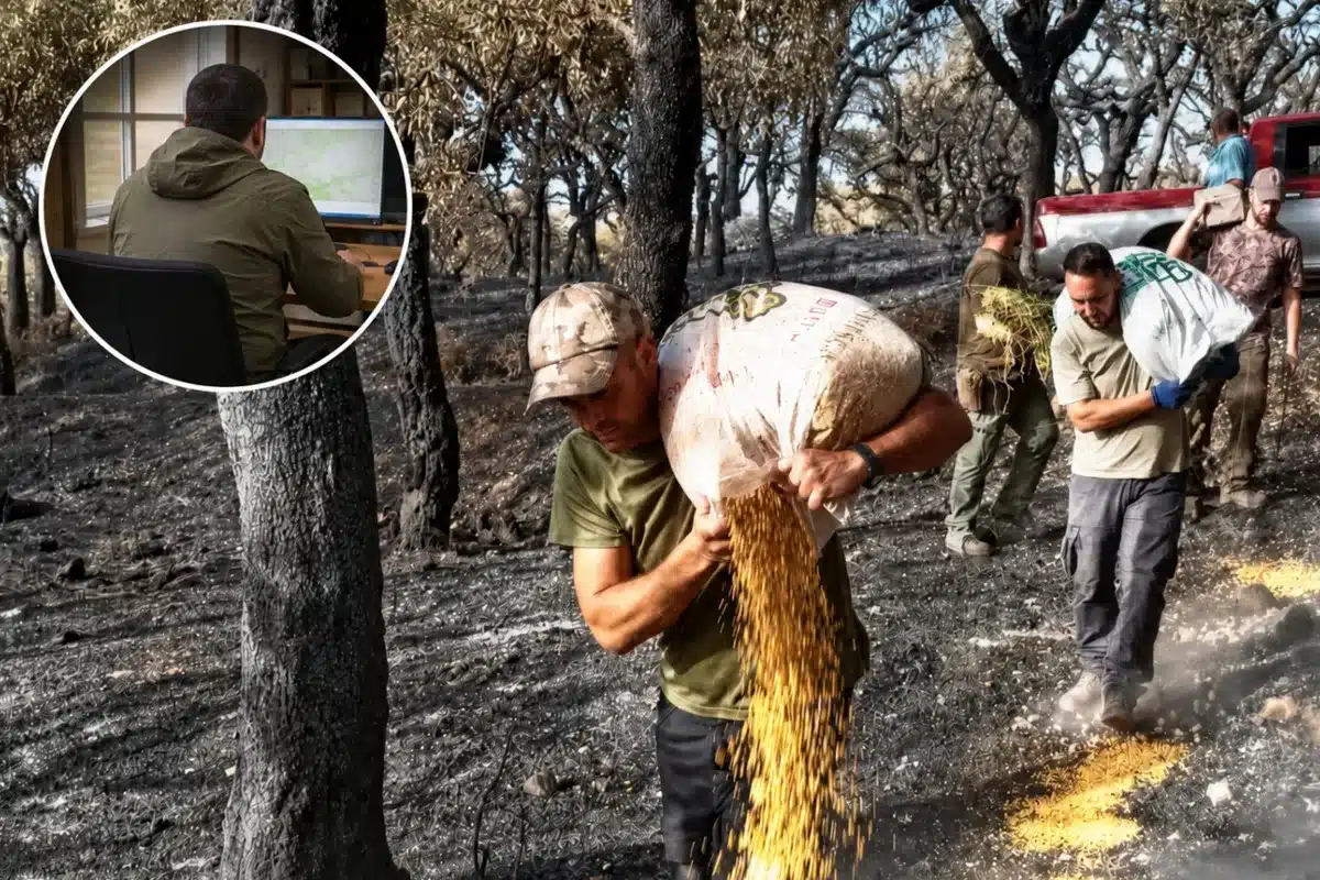Cazadores echan comida incendios mientras ecologistas piden prohibición