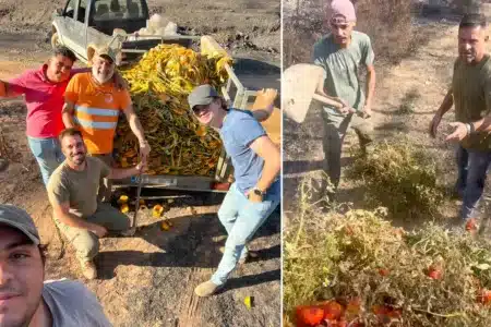 Cazadores de Niebla repartiendo comida tras el incendio.