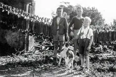 conejos-1950