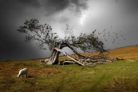 fallece pastor tormenta