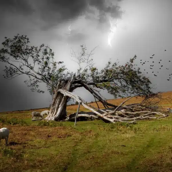 fallece pastor tormenta