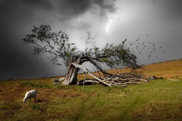 fallece pastor tormenta