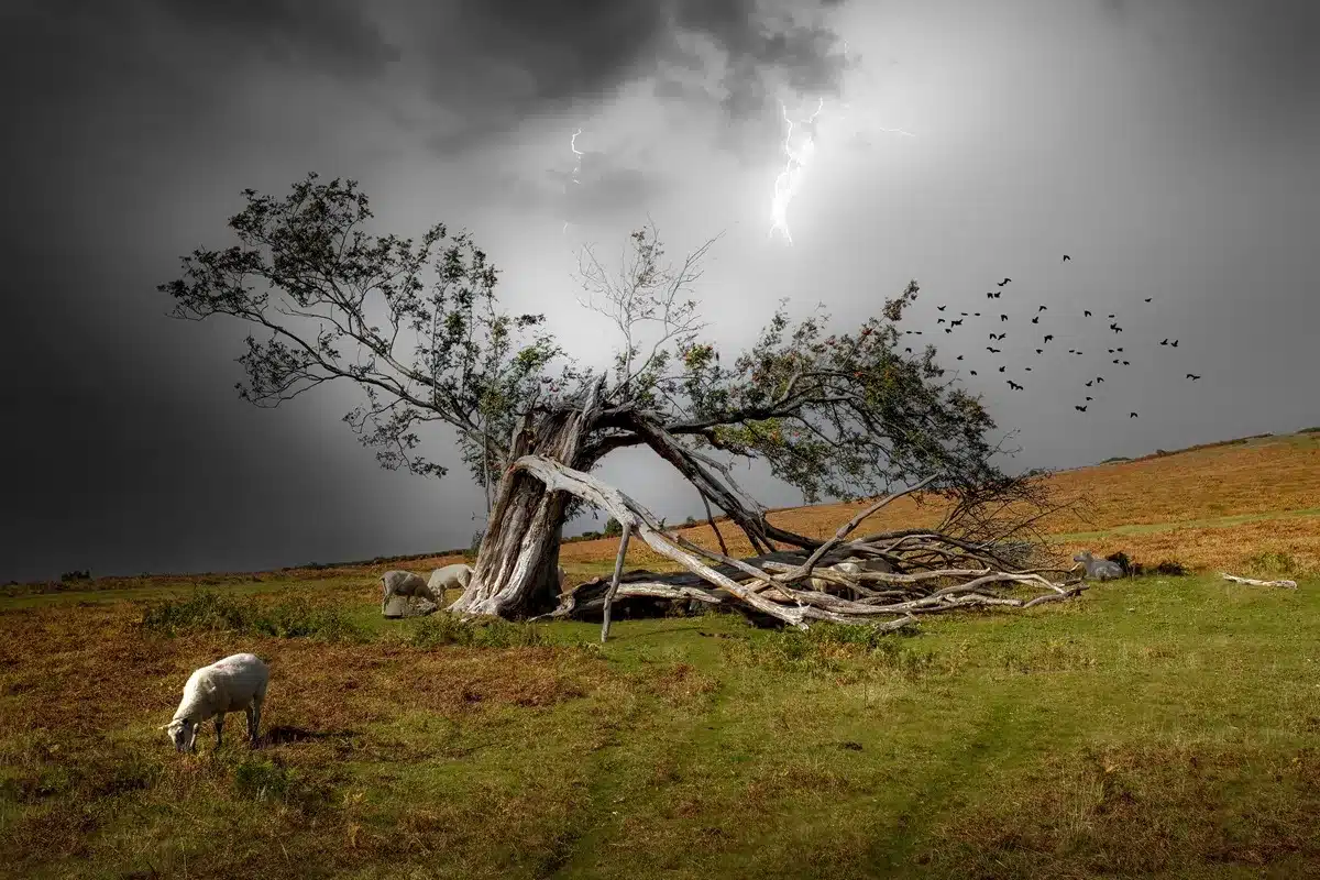 fallece pastor tormenta