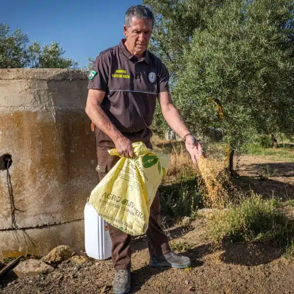 Un guarda de coto de caza echa alimento a los animales.